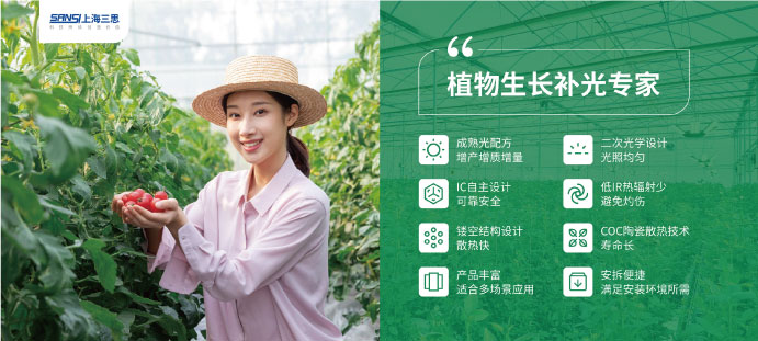 植物補(bǔ)光專(zhuān)家