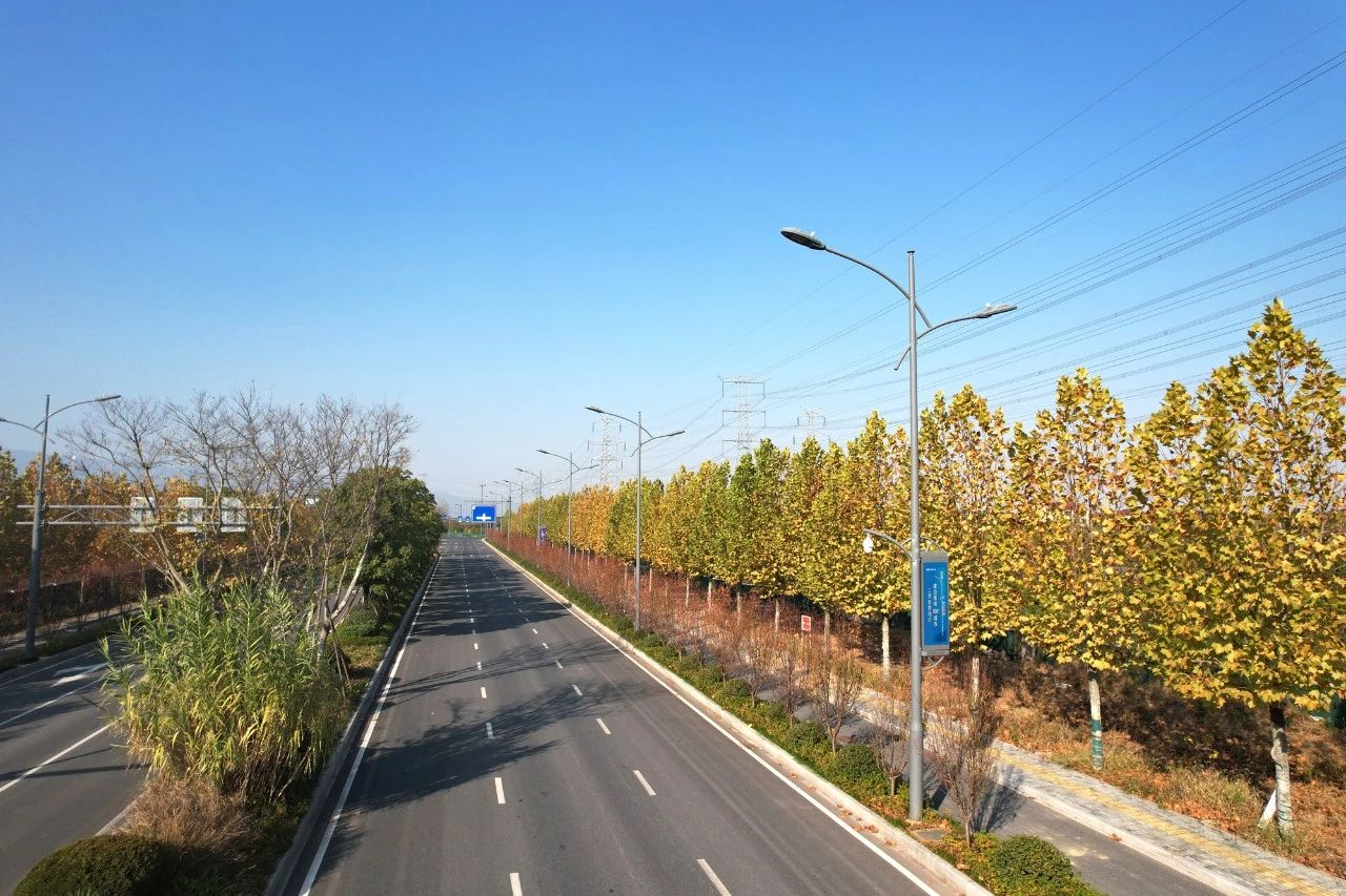 最高獎(jiǎng),三思,浙中公鐵聯(lián)運(yùn)港,智慧路燈,工程,榮獲“市政工程最高質(zhì)量水平評(píng)價(jià)”